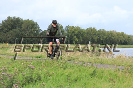 YZ11584.jpg